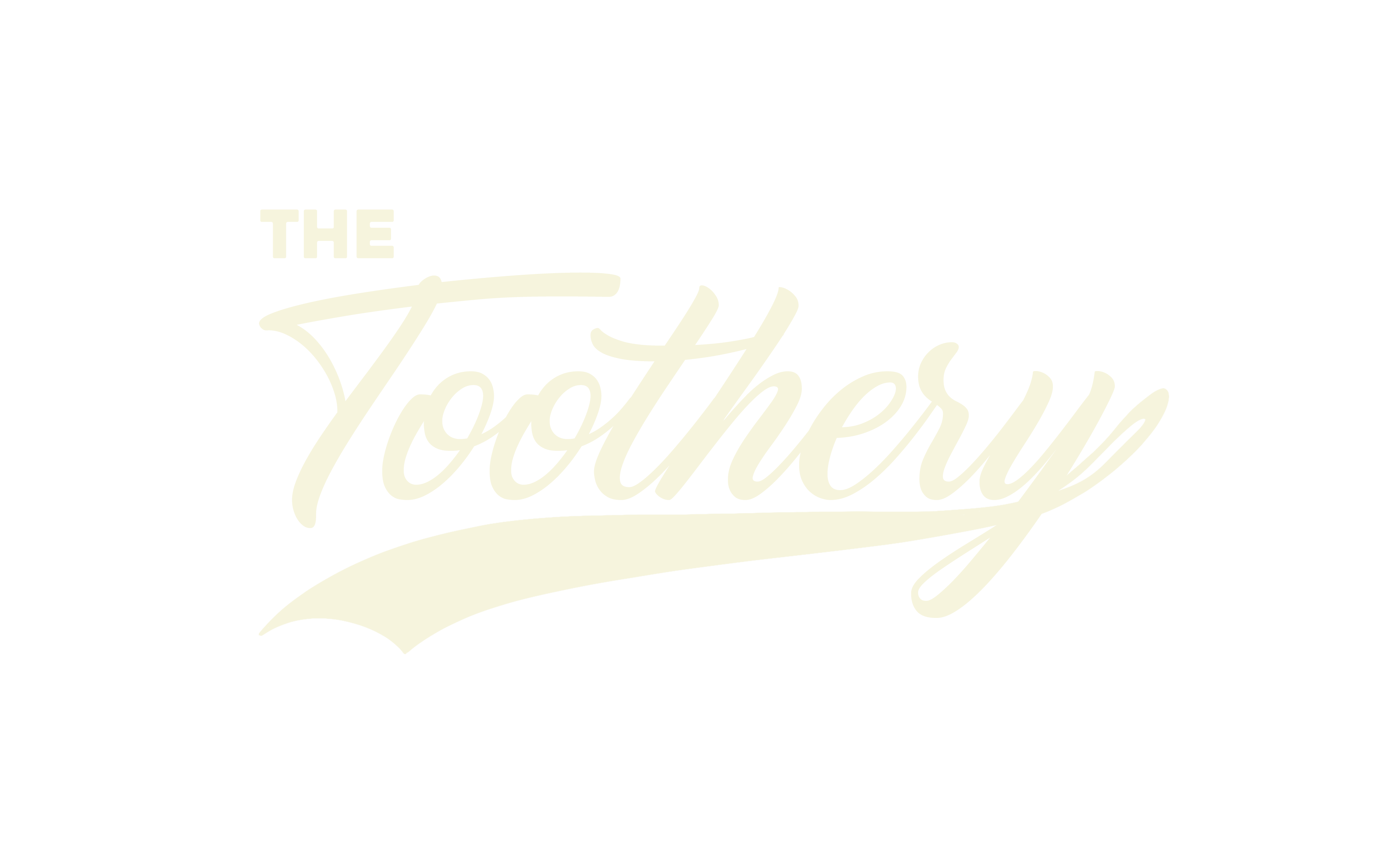 Sponsoring Partner